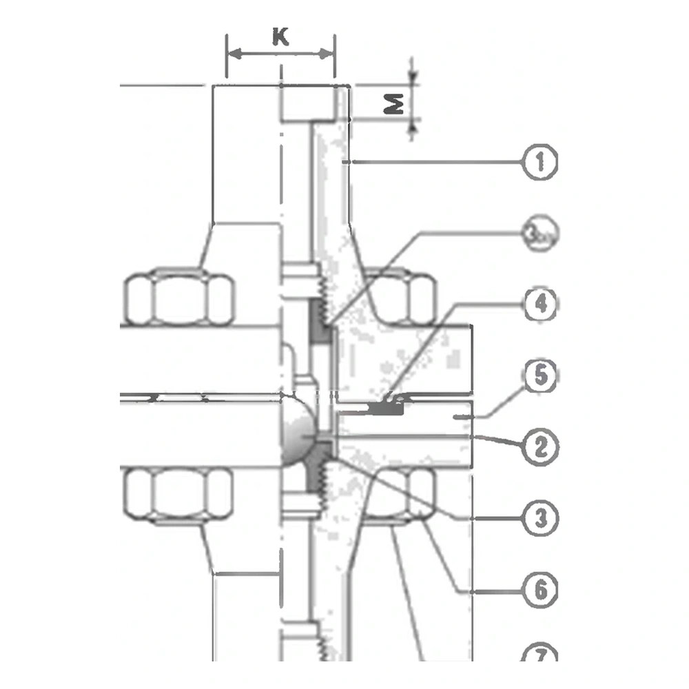 Vertical ball check valve